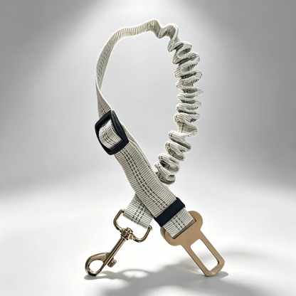 Pet Vehicle Safety Tether