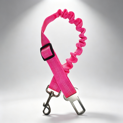 Pet Vehicle Safety Tether