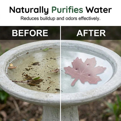 🍃 Keep Bird Bath Water Crystal Clear! — Universal Copper Leaf Bird Bath Purifier 💧✨