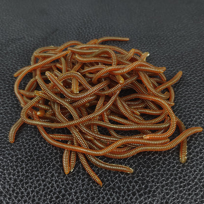 🎣 Shrimp-Scented Lifelike Earthworm Soft Fishing Lures – Flexible Ribbed Action, Glow Effect & 50-Piece Pack 🪱✨