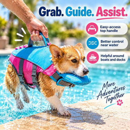 🐶 3-in-1 Safety Swim Gear for Dogs! 🌊 High-Buoyancy Life Vest 🤿 Front Head Support & Easy-Grab Handle 💕