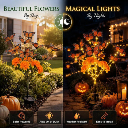 🌼 Beautiful by Day, Glowing by Night — Solar Marigold Butterfly Memorial Garden Lights 🦋