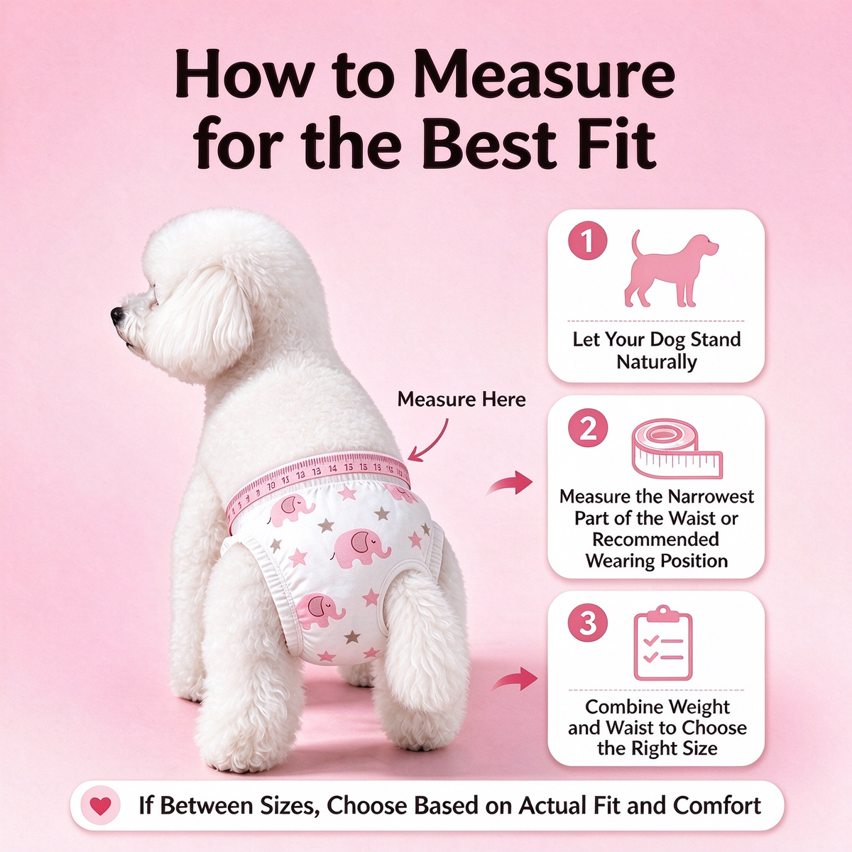 Dog Physiological Diapers 10Pcs