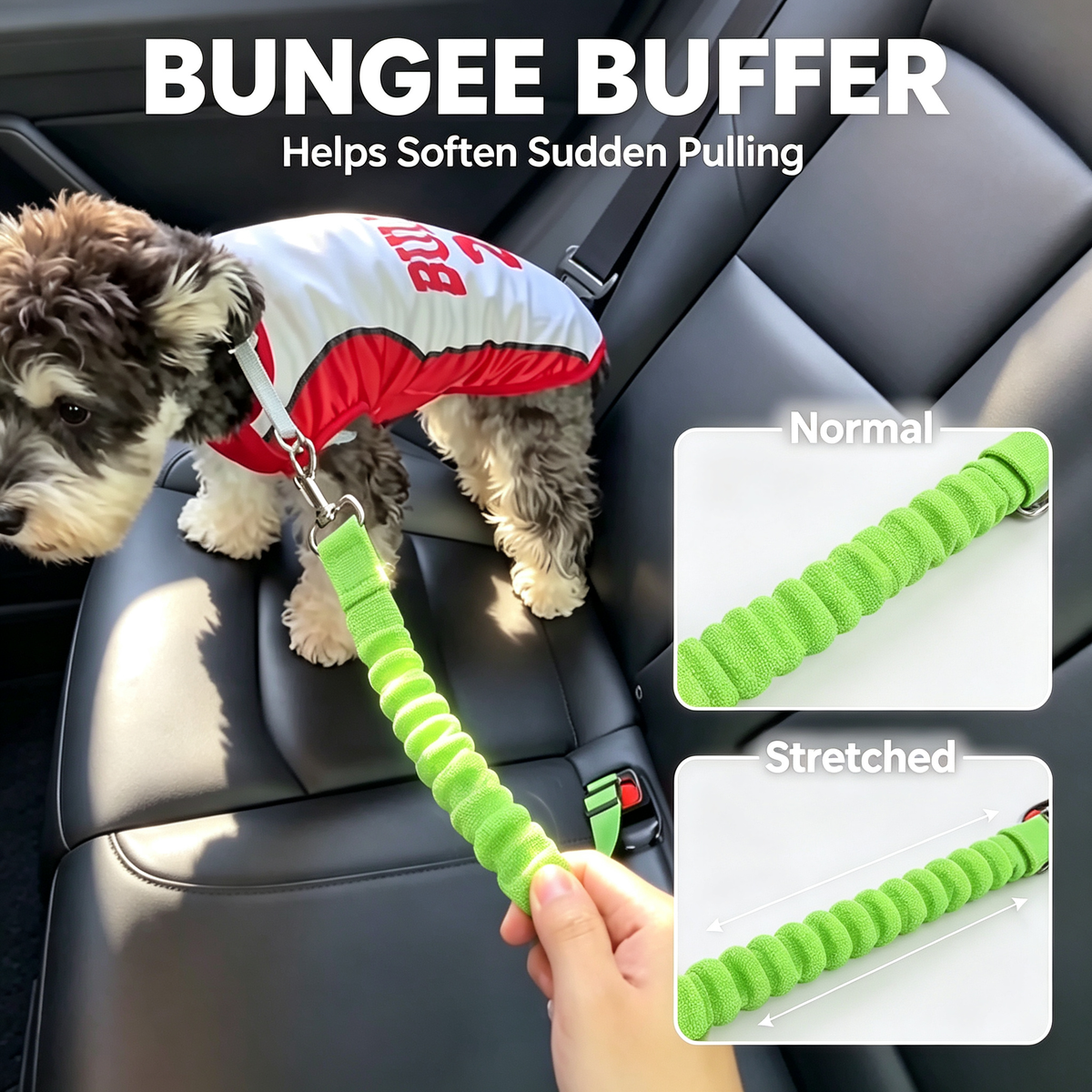 Pet Vehicle Safety Tether