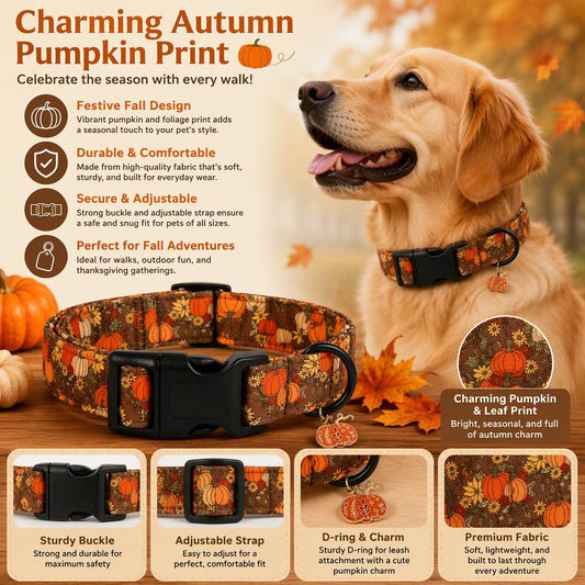 🎃Autumn Pumpkin Dog Collar — Adjustable Pumpkin and Sunflower Collar