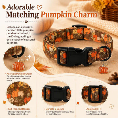 🎃Autumn Pumpkin Dog Collar — Adjustable Pumpkin and Sunflower Collar