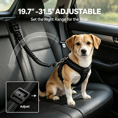Pet Vehicle Safety Tether