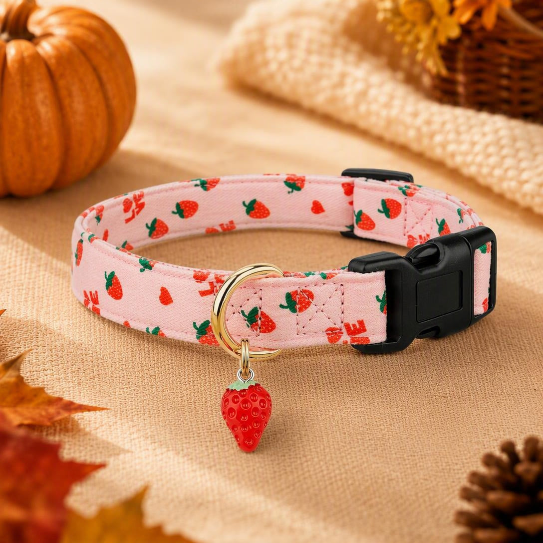 🎃Autumn Pumpkin Dog Collar — Adjustable Pumpkin and Sunflower Collar