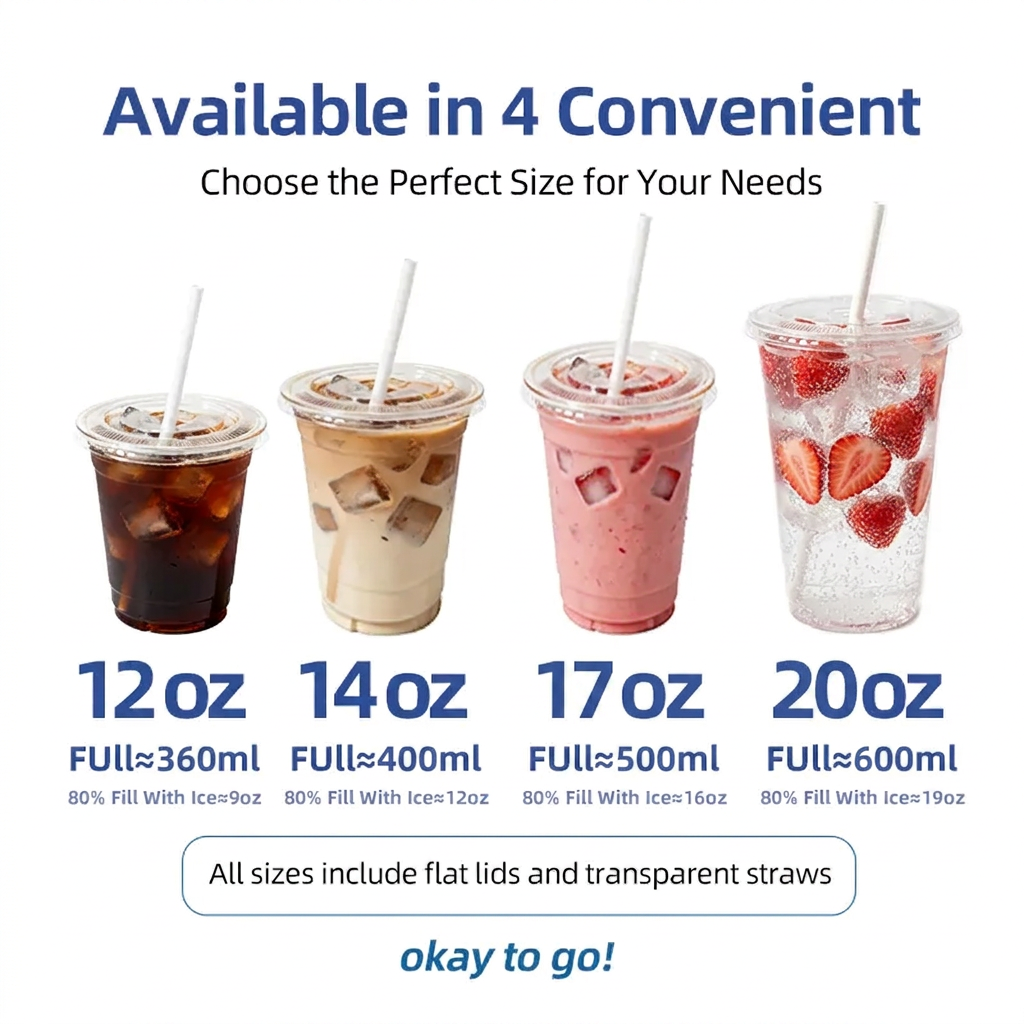 🚰Disposable To-Go Plastic Cups with Lids, 10 Pack