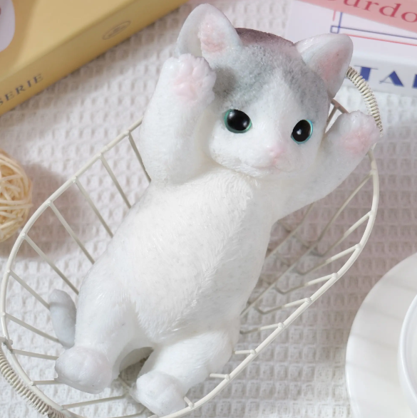 American Shorthair