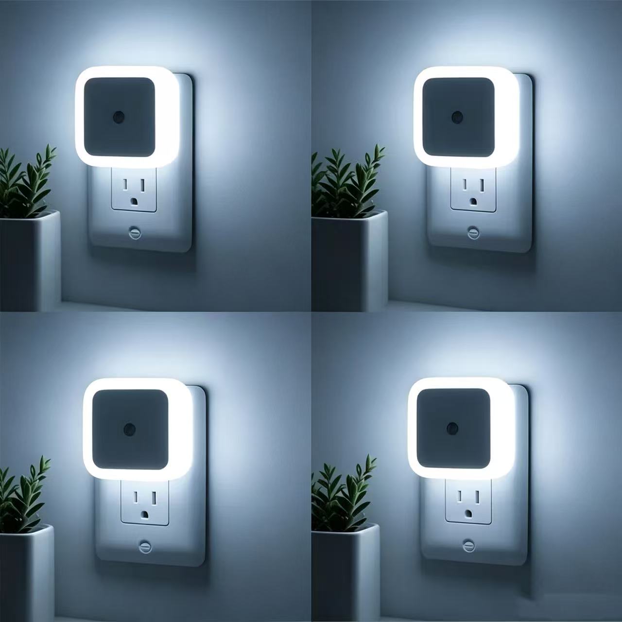 White Light