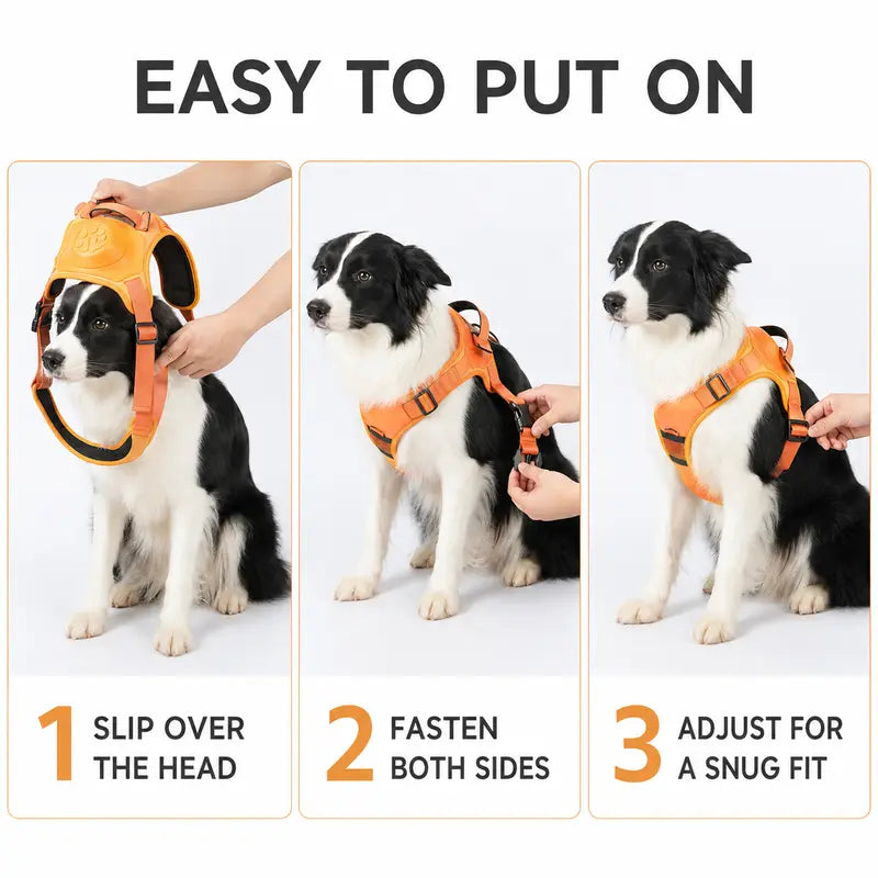 2-in-1 Retractable Dog Harness & Leash