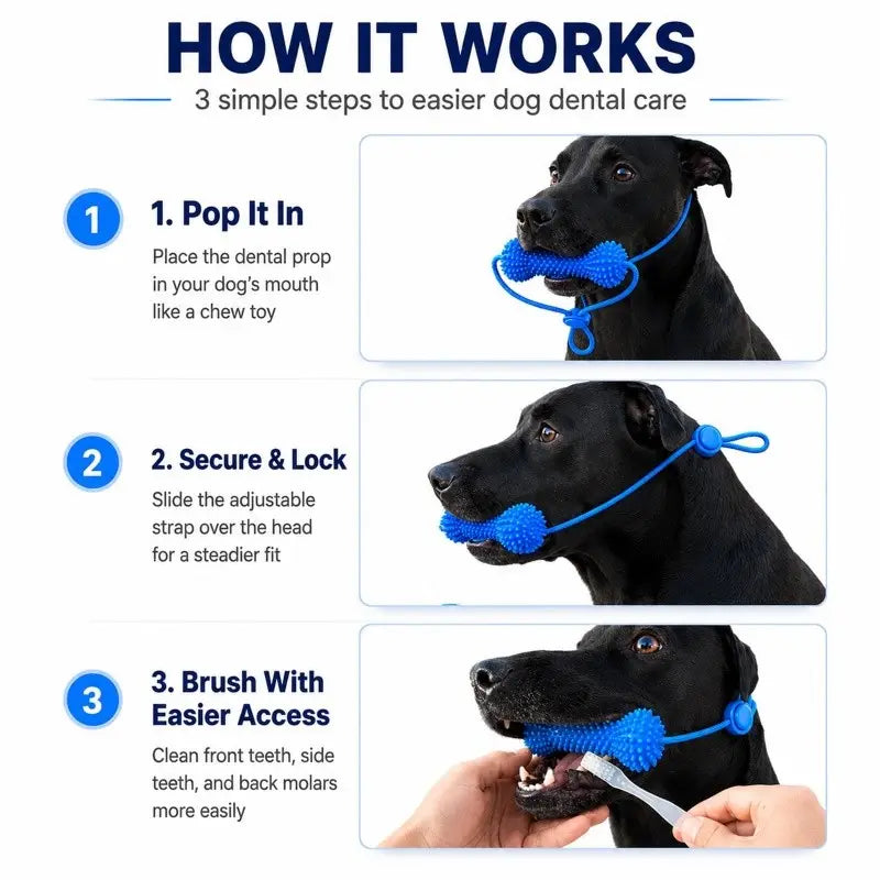 Durable Rubber Bone-Shaped Dog Chew Toy