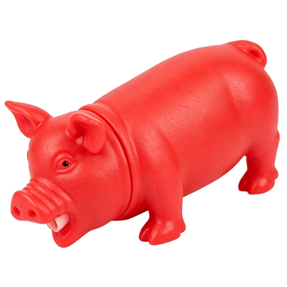 🐷 Funny Silica Gel Prank Snorting Pig