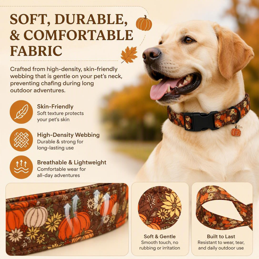 🎃Autumn Pumpkin Dog Collar — Adjustable Pumpkin and Sunflower Collar