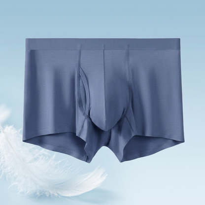 🩲Men's Ice Silk Boxer Briefs