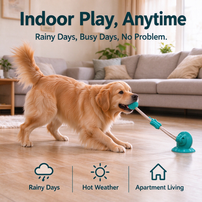 Dog Suction Cup Tug-of-war Teething Toy