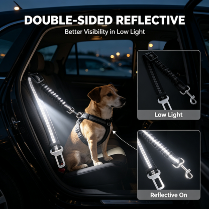 Pet Vehicle Safety Tether