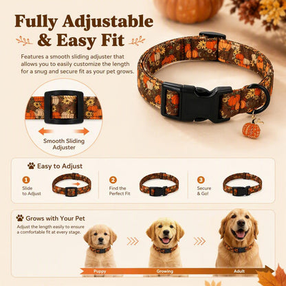 🎃Autumn Pumpkin Dog Collar — Adjustable Pumpkin and Sunflower Collar