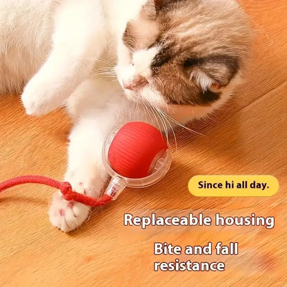 🐱Interactive Cat & Dog Teaser Toy with Tails