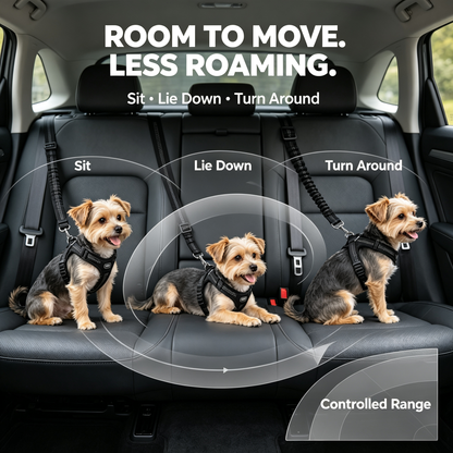 Pet Vehicle Safety Tether