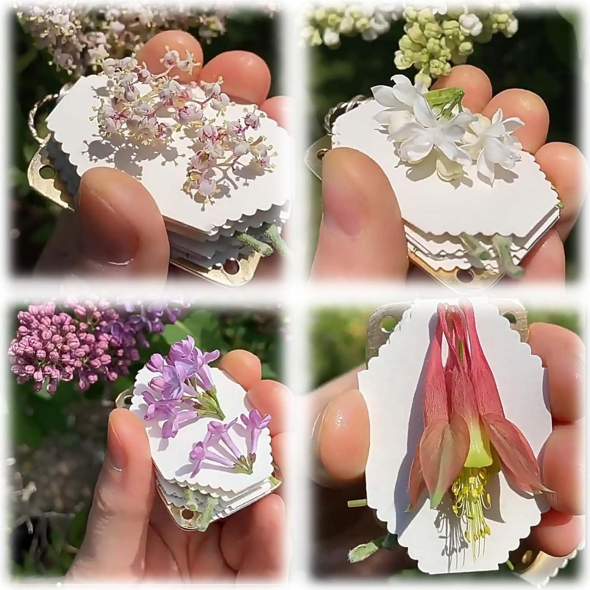 🌸Creative Handmade Metal Miniature Flower Press