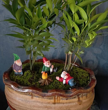 Creative Gnome Design Resin Craft (4 Pcs)