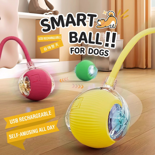🐱Interactive Cat & Dog Teaser Toy with Tails