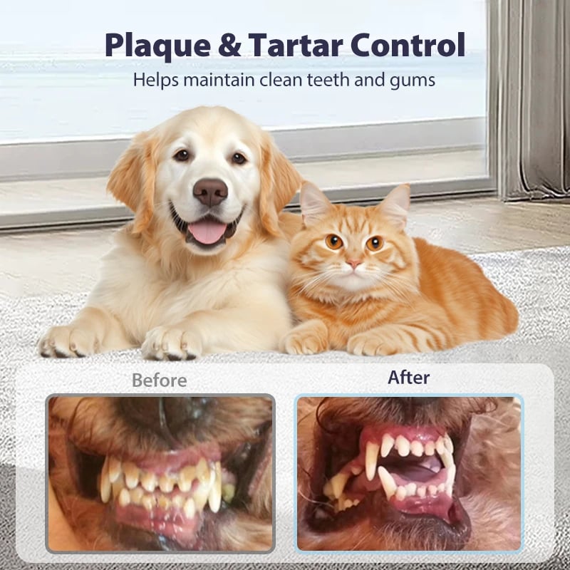 🐾🦷 No-Brush Pet Dental Care Spray – Fresh Breath Made Easy 💧✨
