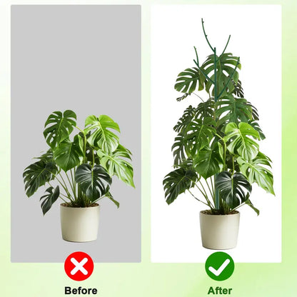 🌿6 Pcs Stackable Monstera Plant Support – Support for Climbing and Potted Plants