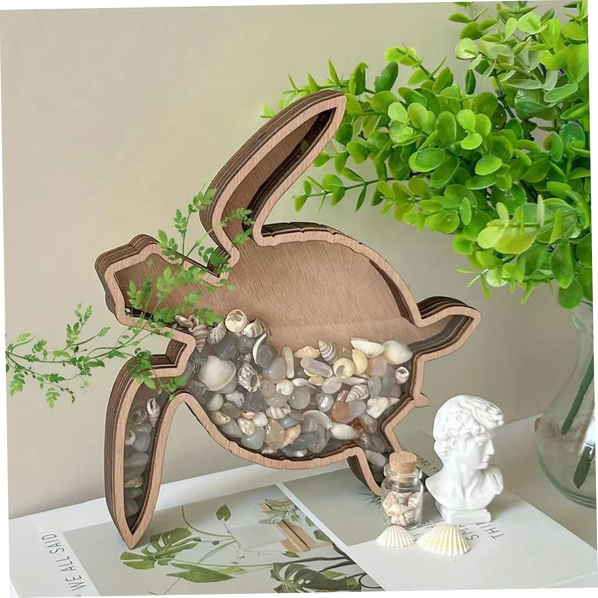 🐢Transparent wooden turtle shell-shaped display box - perfect for storing stones, jewelry, teeth and small items