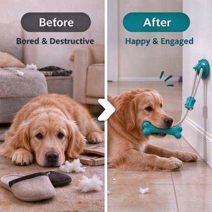 Dog Suction Cup Tug-of-war Teething Toy