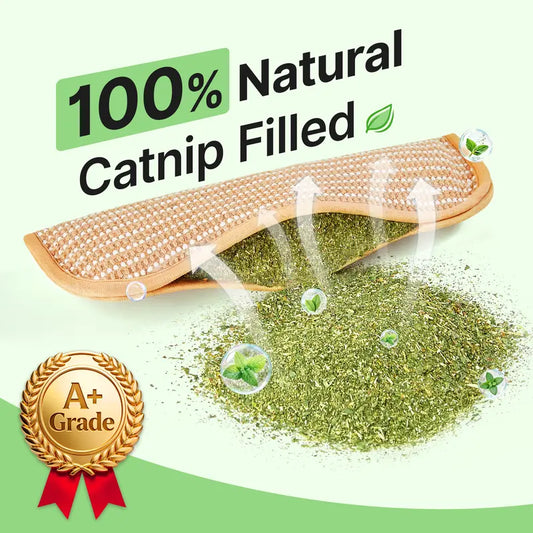 🐱💨 Interactive Catnip Chew Toy