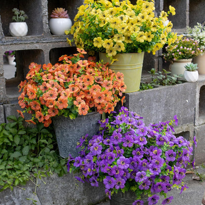 💥Only $2.38 !🌺Summer Outdoor UV Resistant Colorful Artificial Flower