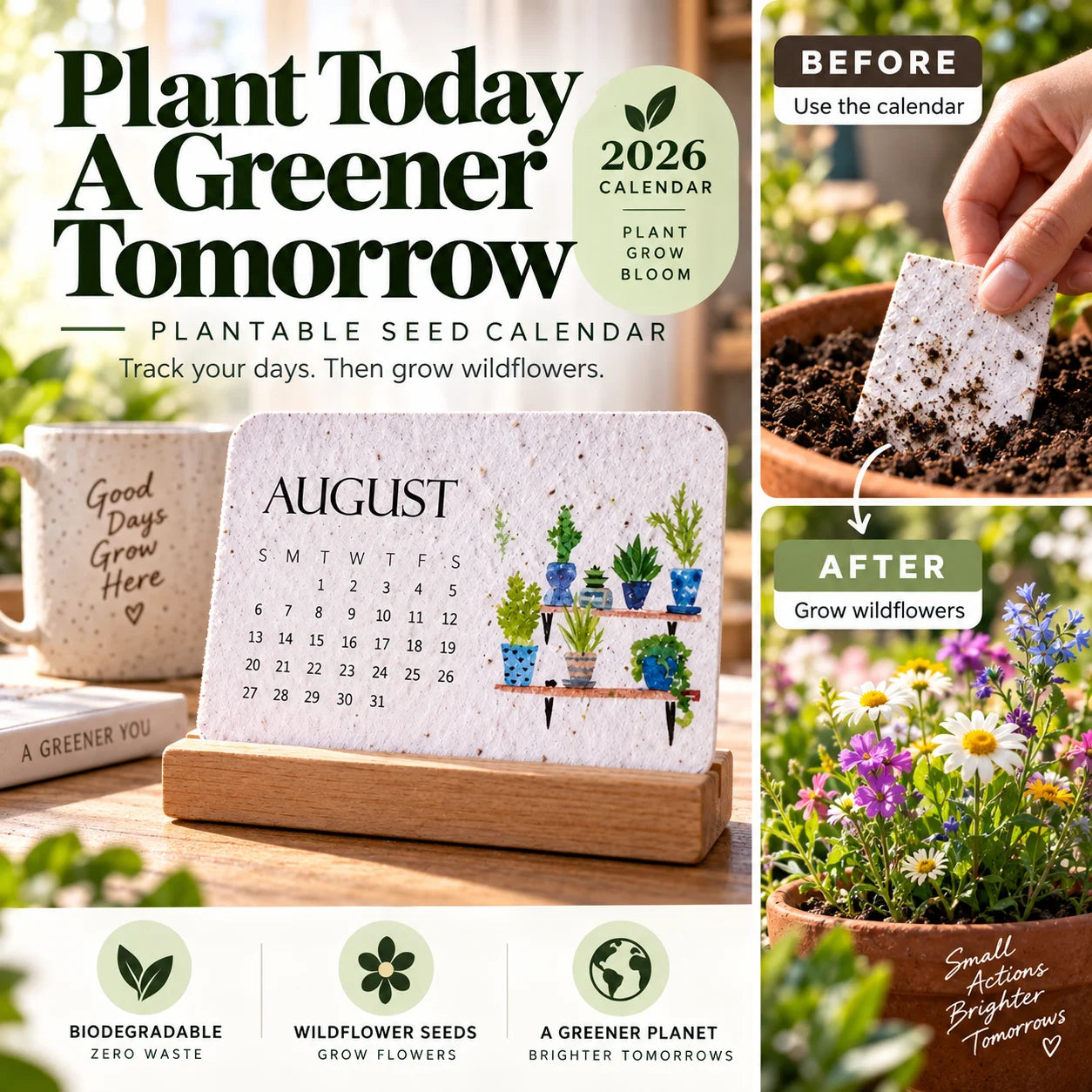 🌱Calendar Only