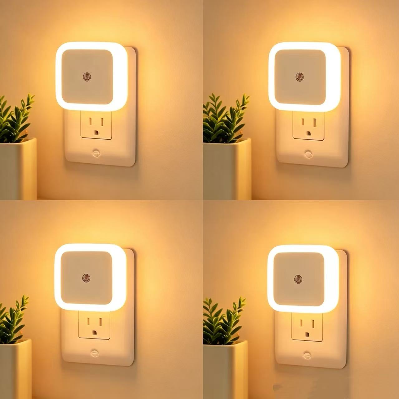 Warm Light
