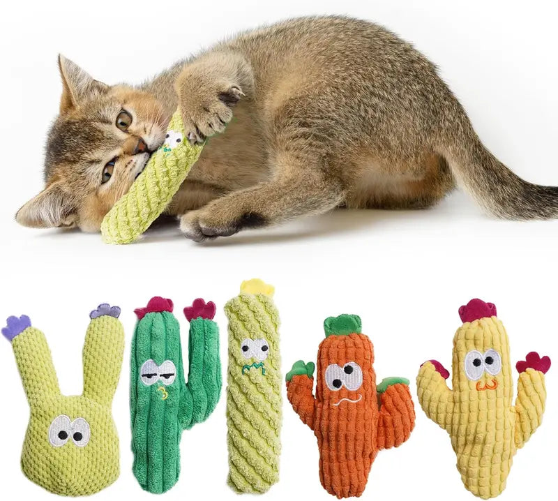 Set of 5