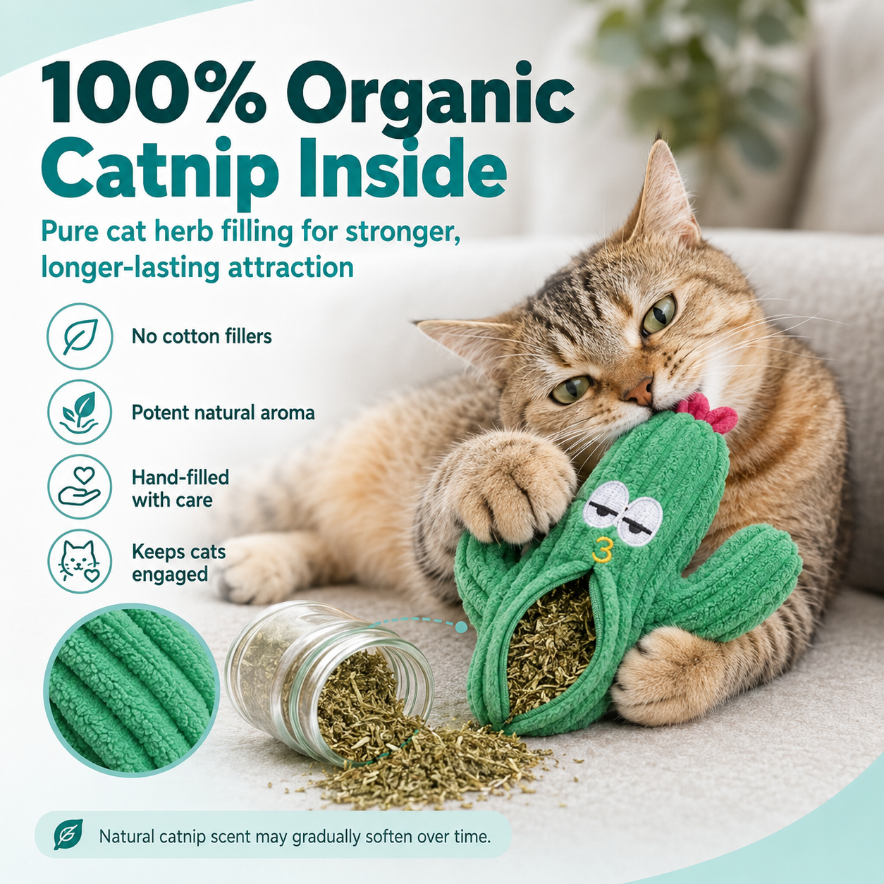 Cactus 5-Pack Cat Toy Set – Herb Filled, Teething Friendly, Natural Stimulation