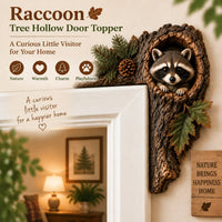 🦝Raccoon