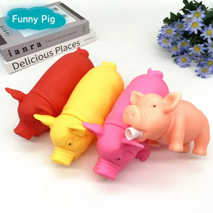🐷 Funny Silica Gel Prank Snorting Pig