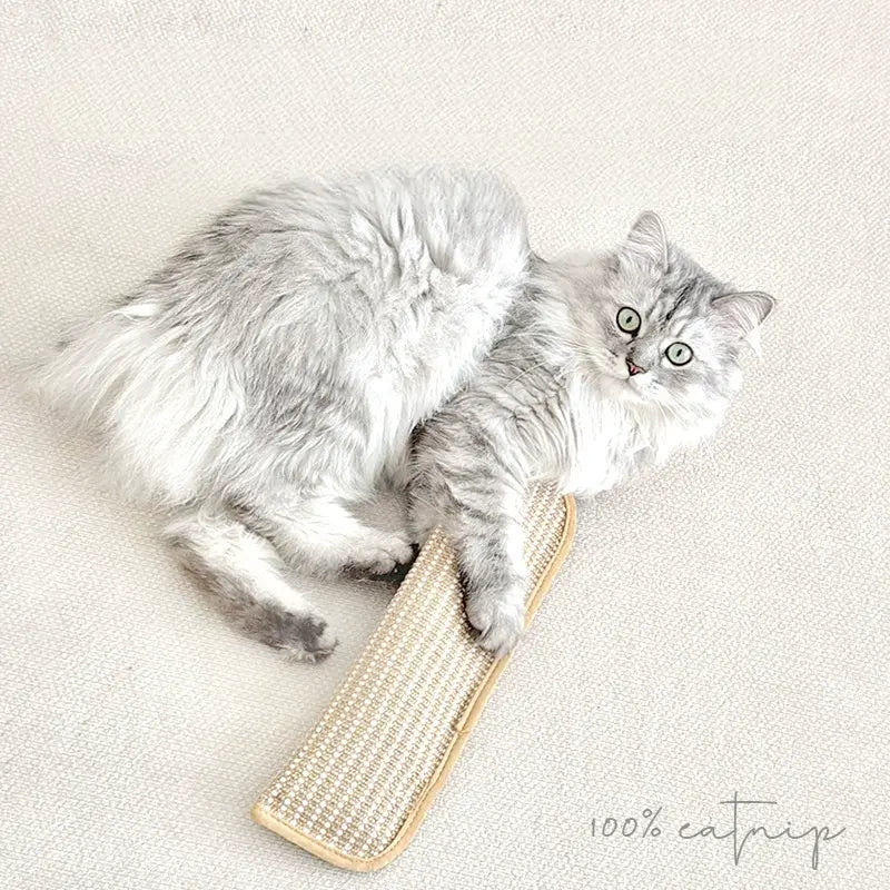 🐱💨 Interactive Catnip Chew Toy