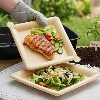 🔄Peelable disposable paper trays