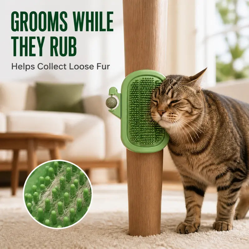 🌵 Say Goodbye to Bored Cats! 3-in-1 Cactus Self Grooming Massager with Catnip & Feather Toy