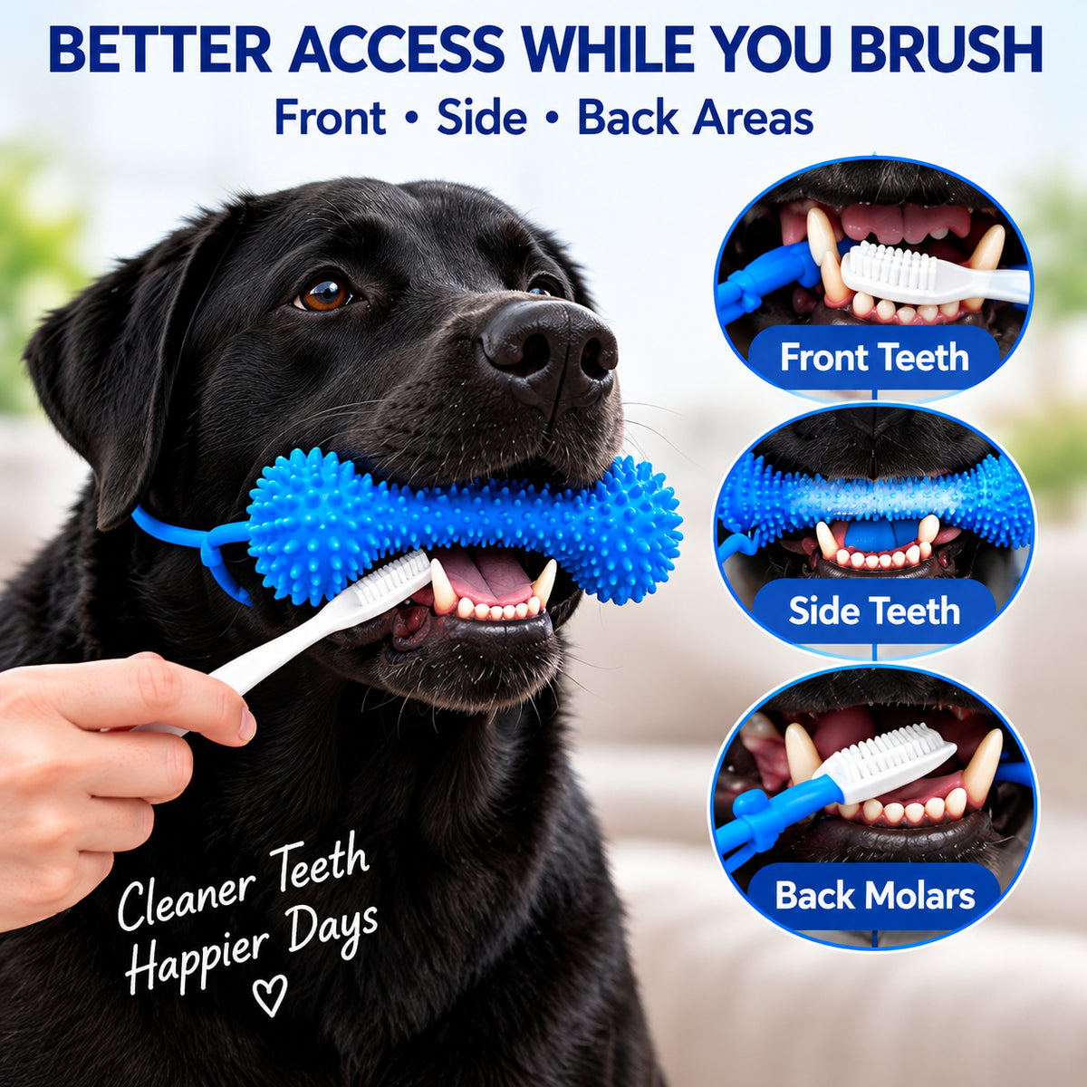 🐶Dog Brushing Aid Chew Support – Easy & Safe Teeth Cleaning Without the Struggle! 🪥
