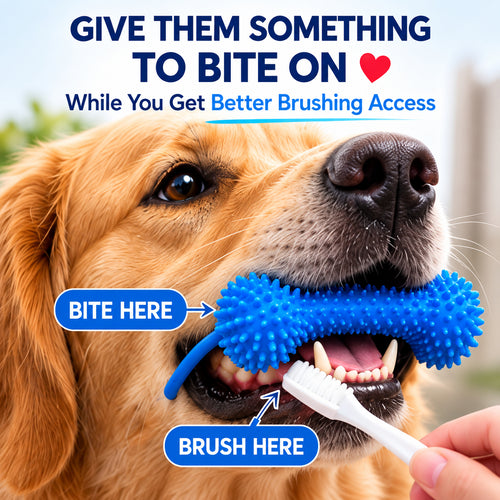 🐶Dog Brushing Aid Chew Support – Easy & Safe Teeth Cleaning Without the Struggle! 🪥
