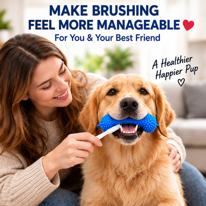 🐶Dog Brushing Aid Chew Support – Easy & Safe Teeth Cleaning Without the Struggle! 🪥