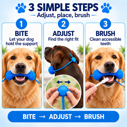 🐶Dog Brushing Aid Chew Support – Easy & Safe Teeth Cleaning Without the Struggle! 🪥