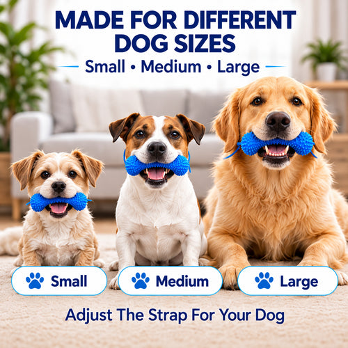 🐶Dog Brushing Aid Chew Support – Easy & Safe Teeth Cleaning Without the Struggle! 🪥