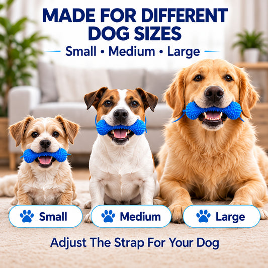 🐶Dog Brushing Aid Chew Support – Easy & Safe Teeth Cleaning Without the Struggle! 🪥