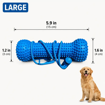 🐶Dog Brushing Aid Chew Support – Easy & Safe Teeth Cleaning Without the Struggle! 🪥